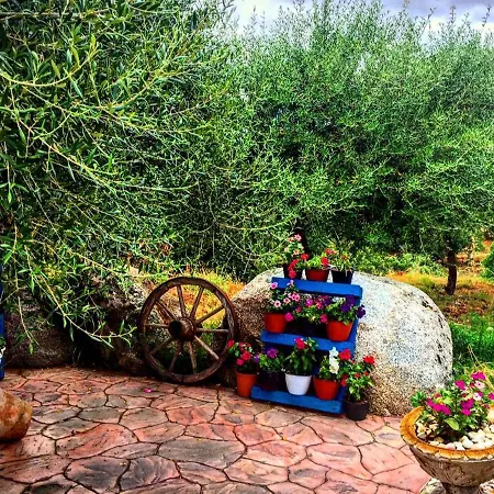 Casa Vacanza Centro Sardegna Sorgono Exterior photo