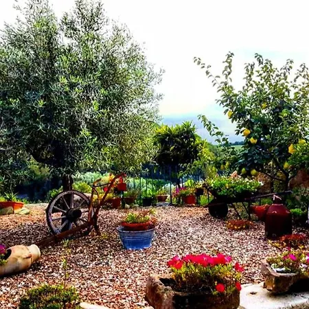 Casa Vacanza Centro Sardegna Sorgono Exterior photo