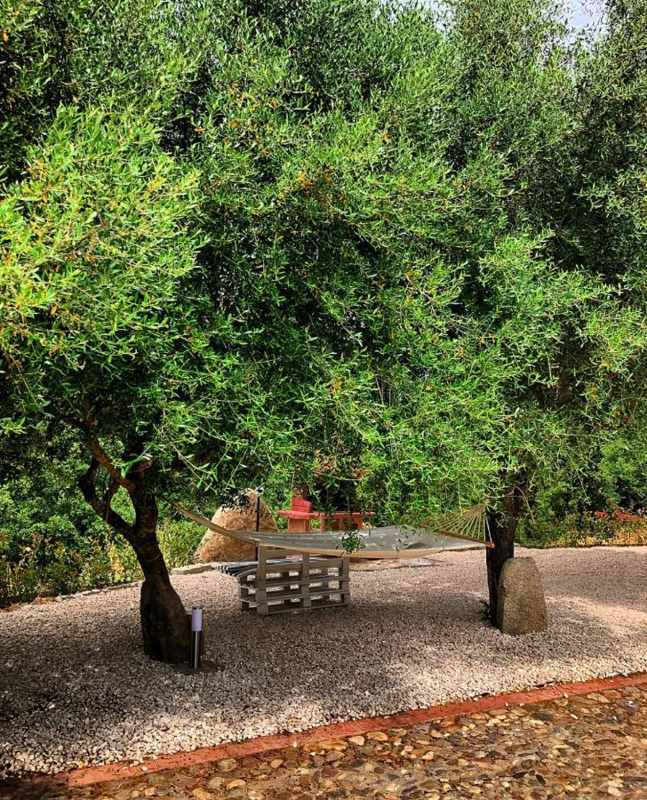 Holiday home Casa Centro Sardegna