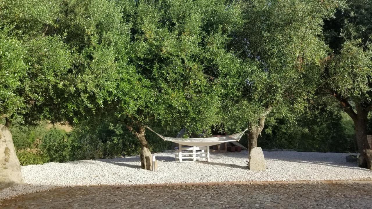 Casa Centro Sardegna *