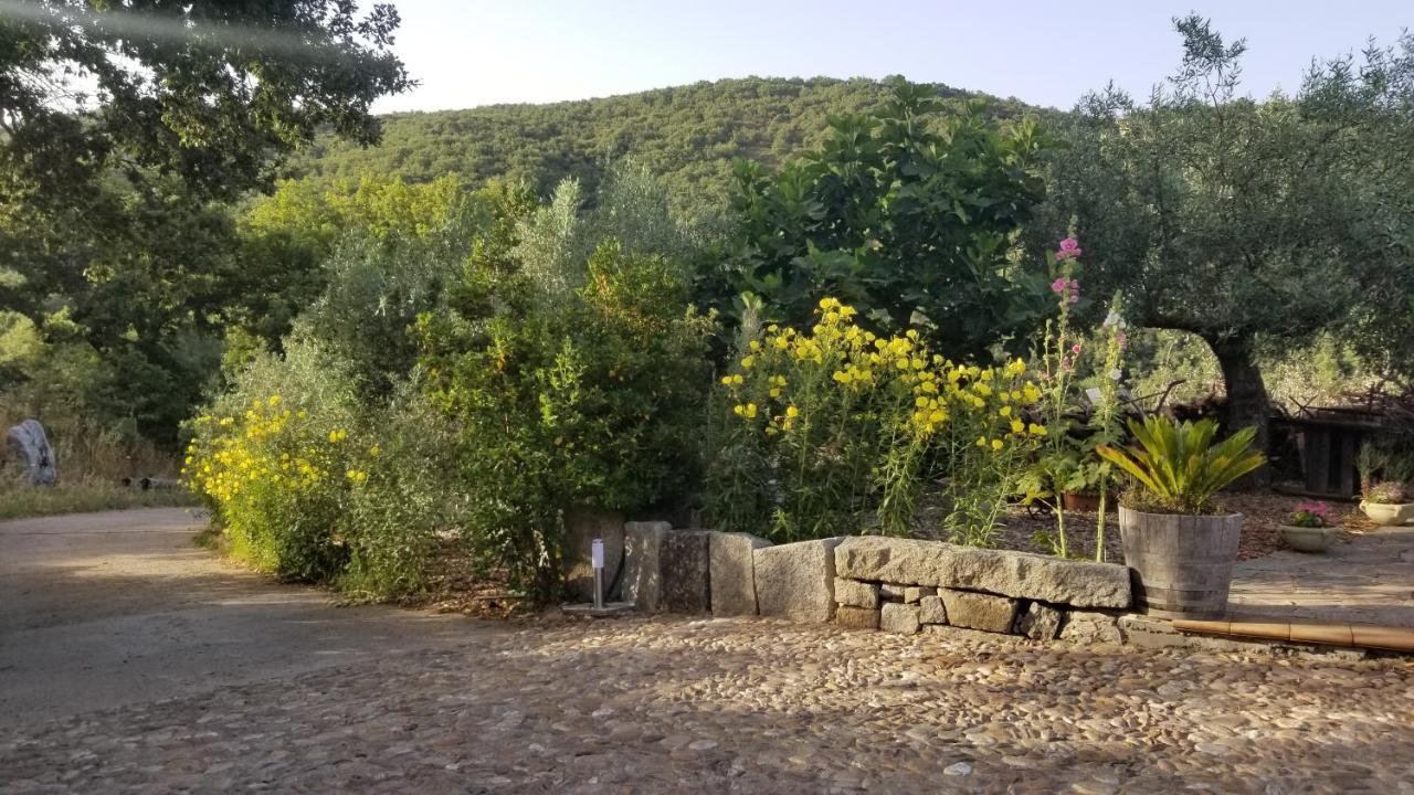 Holiday home Casa Centro Sardegna *