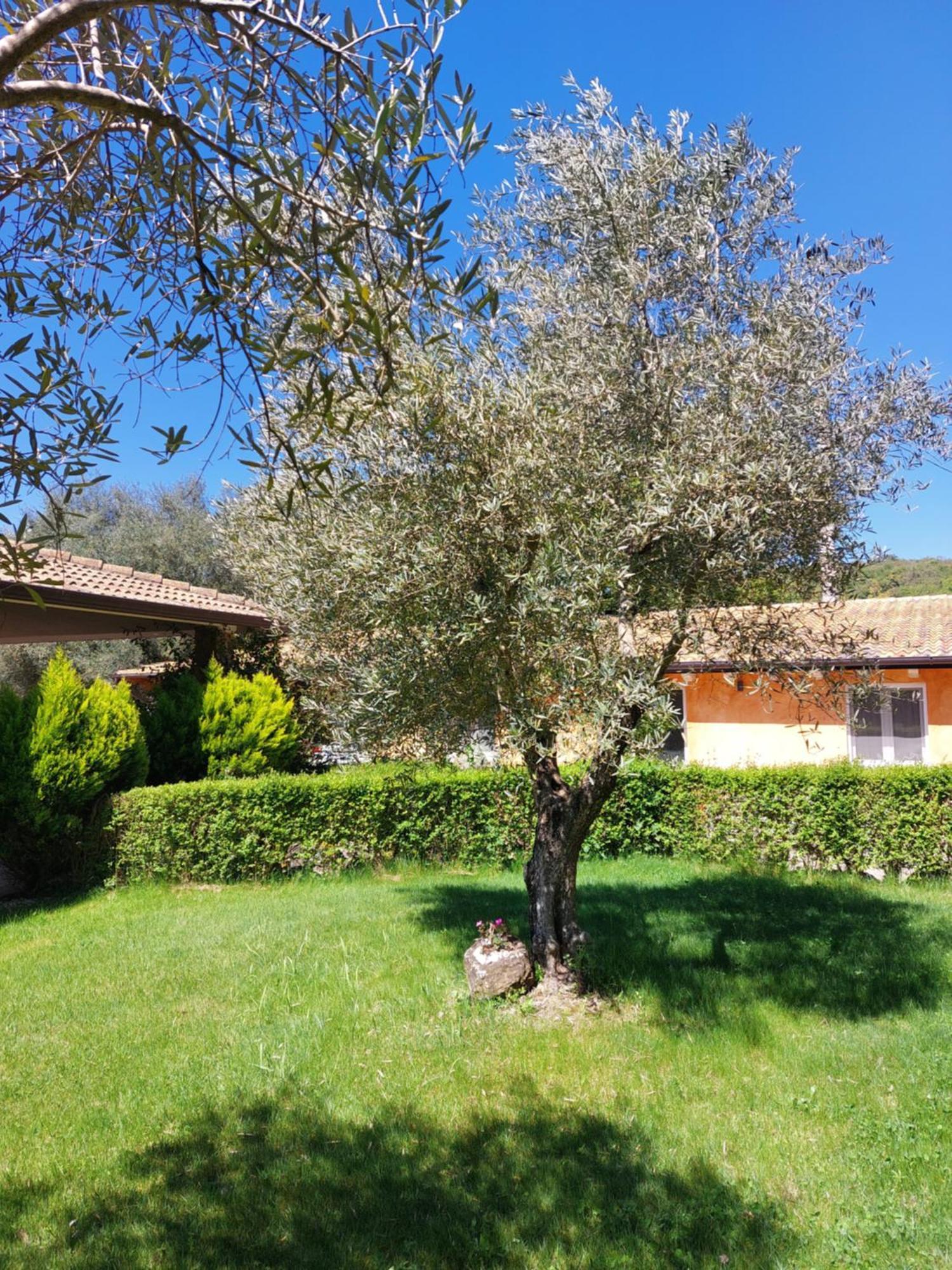Holiday home Casa Centro Sardegna Sorgono
