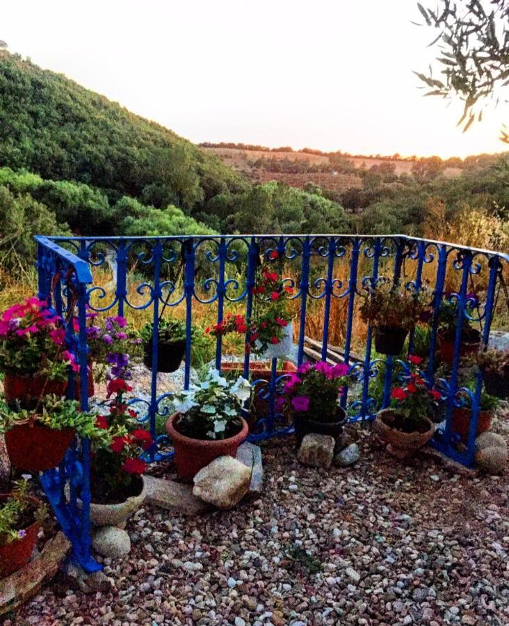Casa Centro Sardegna Holiday home *