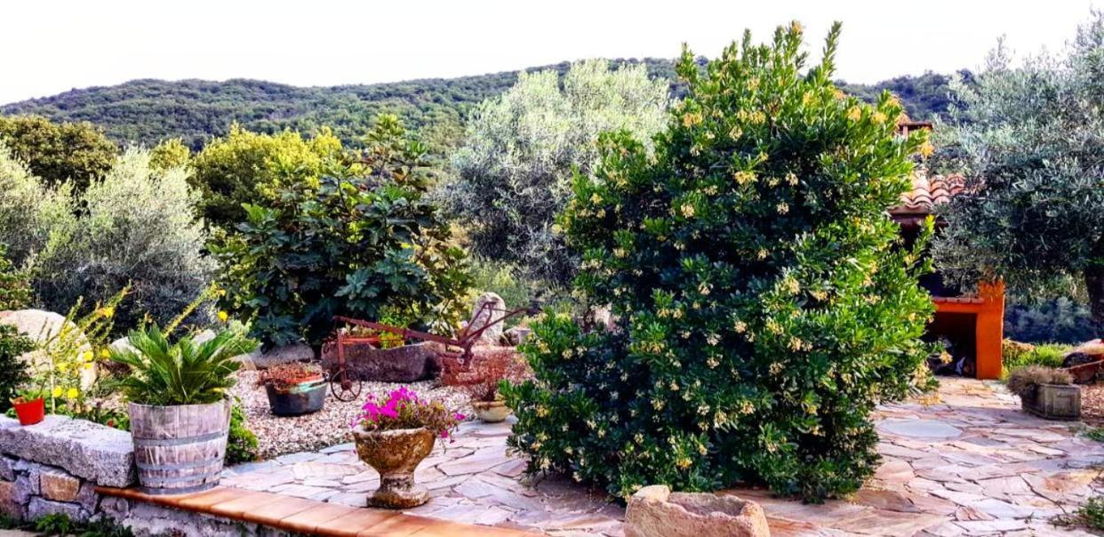 Casa vacanze Casa Centro Sardegna