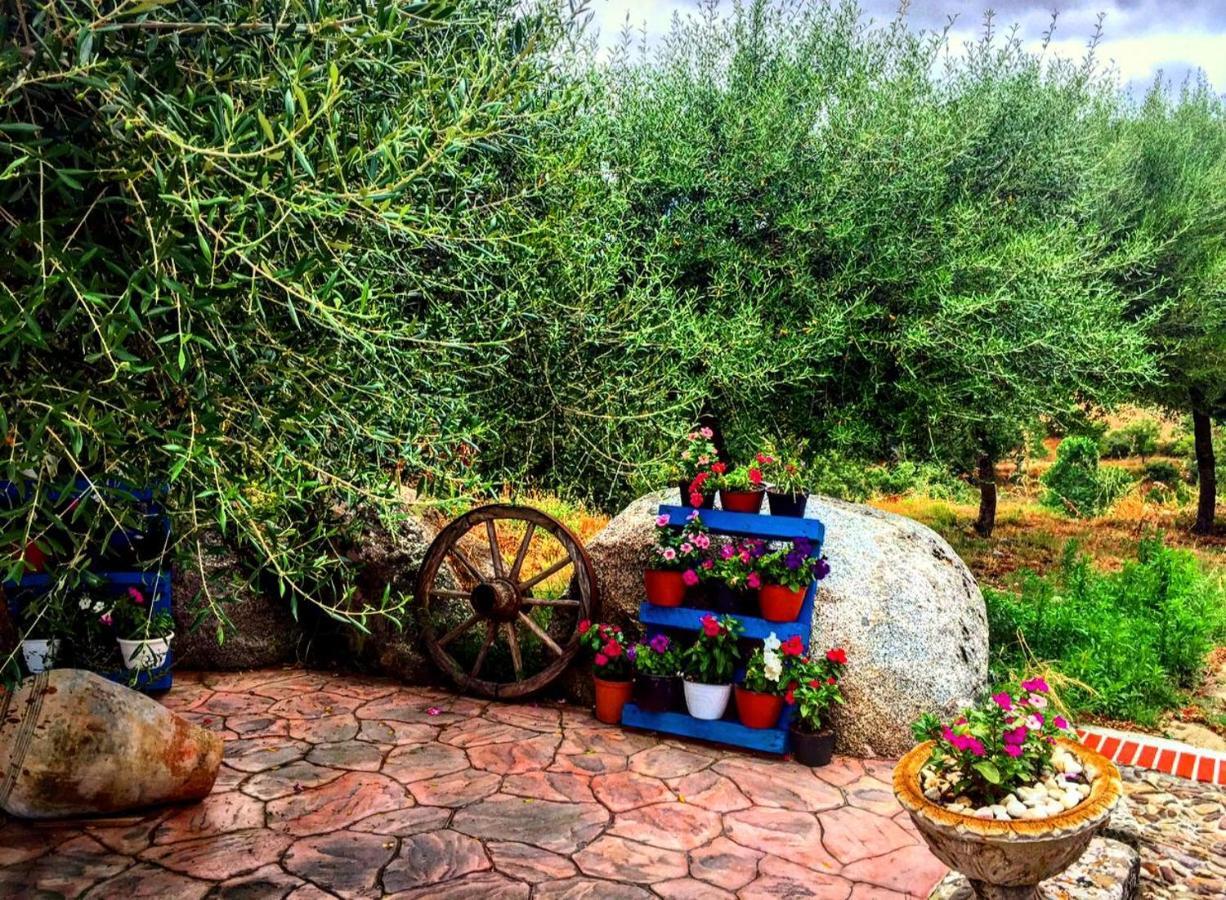 Casa Centro Sardegna Holiday home